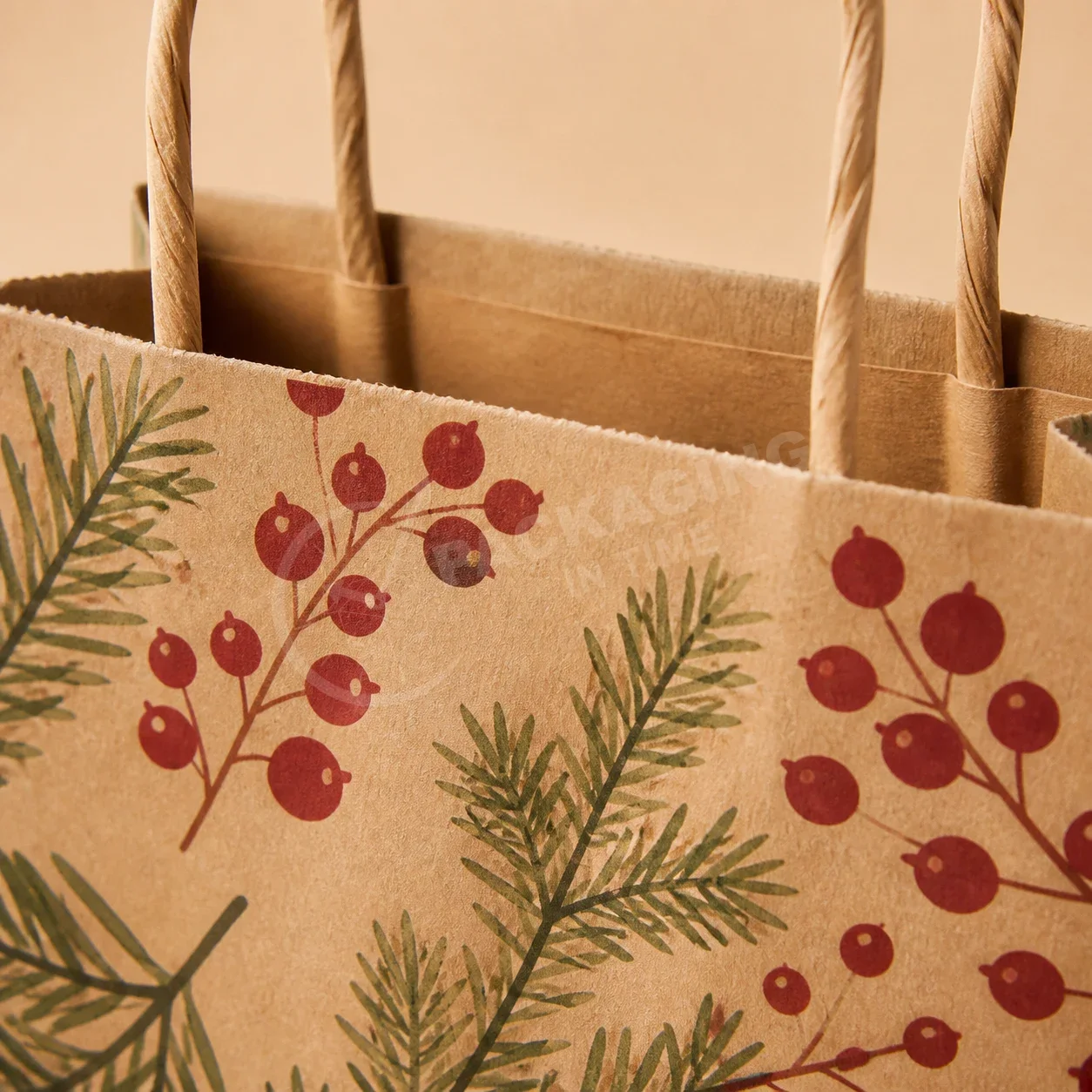 Kraft Paper Bags with Holiday Print Design