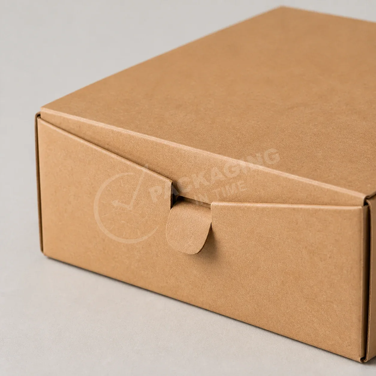 Kraft Mailer Box with Self-Closing Closure